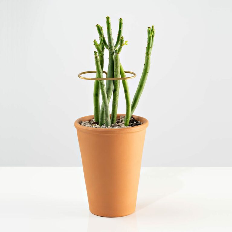 fruitsuper design / Plant Sticks